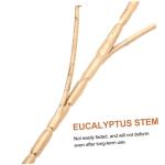 4 Stück Simulierte Ginkgo Kunstzweige Für Vasen Eukalyptusstiele Künstliche Eukalyptusblätter Künstliche Eukalyptusstiele Künstliche Eukalyptuszweige Künstliche Grünzweige