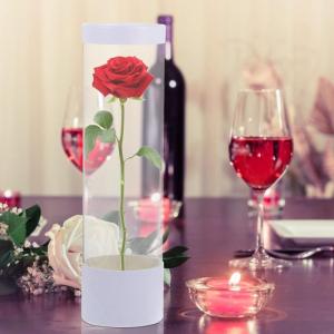 Verpakking zakken doos doorzichtige doos display doos roos verpakking doos met handvat deksel bloemen ordening doos bloemisten geleverd voor Home Shop ? Transparante acryl doos lip