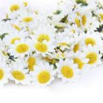 100 Stks Kunstmatige Gerbera Madeliefje Bloem Zonnebloem Hoofden voor DIY Wedding Party Decor