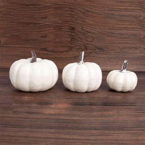 12 stuks realistische witte pompoenen van de herfstpompoenoogst voor huis tuin decoratie
