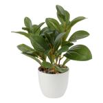 in pot, 28 cm, voor woondecoratie, kunstmatige kamerplant, camellia, bloemstukken, thuis- en kantoordecoratie, desktop, bonsai, met potten, tafeldecoratie, huis, balkon,
