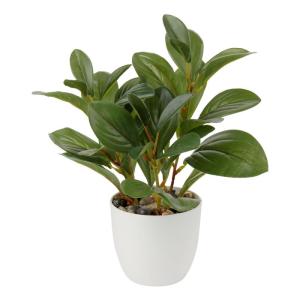 in pot, 28 cm, voor woondecoratie, kunstmatige kamerplant, camellia, bloemstukken, thuis- en kantoordecoratie, desktop, bonsai, met potten, tafeldecoratie, huis, balkon,