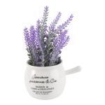 3st Bonsai-Handwerk Simulationsblumentopf Simulation Topfkultur Saftiger Pflanzentopf Landschaftsblumentopf Tischdeko Topf Blumentopf-Ornament Kunstblumen Mit Vase Violett
