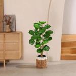 Kunstplant in zwarte pot, 68 cm hoog, kunstmatige Aralia Balfour boom, kunstplant Aralia Polyscias Fabian plant, namaak-kaderaralie, potplant voor thuis, kantoor, woonkamer decorat