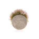 Plastic kunstmatige potplanten Baby's Tear decoratieve bloem voor thuis/kantoor decoratie roze, 3 stuks