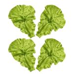 3 Sätze Pflanzliche Requisiten Kunstpflanze Künstliche Pflanzen Küchen-Dekoration Künstliches Gemüse Gemüse-Display Lebensmitteldekor Simulation Salatblatt PVC Green 4 Stück
