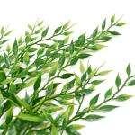 Set van 2 kunsthangplanten Nepwilgenbladeren Ivy Vine Plastic Hangend Treurgroen Hangende plant voor muur Binnen Buitentuin Bruiloft Hangpot Mand Decor