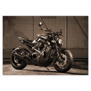 Vlies Premium Vlies Wand Dekoration 368x254cm Harley Davidson Motorrad No.H5230M_TV5BF