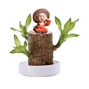 Braziliaans gloeiend hout, Braziliaanse houten plant, mini gelukshhout uit Braziliaanse houten plant met monnikstandbeelden, desktopplant, Braziliaanse houtplant, stomp