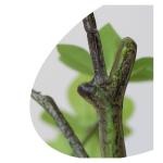 Künstliche Bäume, künstlicher Baum, Glockenbaum, grüne Zimmerpflanze, realistische Kunstpflanzen für die Dekoration von Zuhause und Büro, künstliche Pflanzen, künstliche Pf