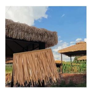 Künstlicher Palmenstroh Mexikanischer Strohdachläufer Roll， Strohdach Für Tiki-Bar-Hütte, Einfache Installation, 50 X 50 cm (Color : Yellow-1, Size : 60PCS)
