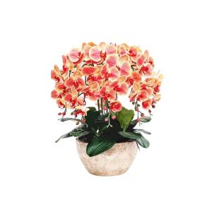Kunstblumen Künstliches Phalaenopsis-Blumenarrangement – ​​Seidenorchideen für Heimdekoration, Hochzeiten, Partys und Büro – lebensecht für jeden Anlass