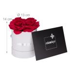 Rozenbox rond, 4 rozen, stabiele bloemenbox, wit, 10 jaar houdbaar, cadeau-idee, decoratieve bloemenbox, rood