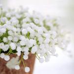 10 STKS 30 Trossen Witte Babys Adem Bloemen Kunstmatige Witte Nep Bloemen Gypsophila Diy Bloemen Boeketten Arrangement Bruiloft Home Decor (VASE NIET Inbegrepen)