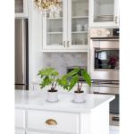 2 stuks tropische , klein, in pot, wit, decoratieve planten in pot, als echt, tropische geldplant, plastic planten voor woonkamer, kantoor, decoratie