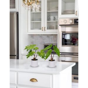2 stuks tropische , klein, in pot, wit, decoratieve planten in pot, als echt, tropische geldplant, plastic planten voor woonkamer, kantoor, decoratie