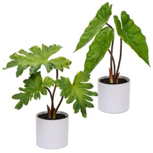 2 stuks tropische , klein, in pot, wit, decoratieve planten in pot, als echt, tropische geldplant, plastic planten voor woonkamer, kantoor, decoratie