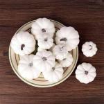 12 stuks realistische witte pompoenen van de herfstpompoenoogst voor huis tuin decoratie