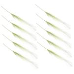 10st -Dekoration Reed-Layout-Requisiten Schilf Für Vase Schilfdekore Für Den Haushalt Zuhause Reed DIY Requisiten Schilfgras Ornamente Partyschilf Light Green Stoff