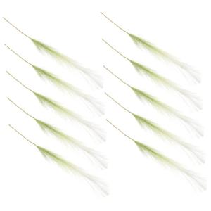 10st -Dekoration Reed-Layout-Requisiten Schilf Für Vase Schilfdekore Für Den Haushalt Zuhause Reed DIY Requisiten Schilfgras Ornamente Partyschilf Light Green Stoff