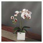 Kunstblumen Künstliches Phalaenopsis-Blumenarrangement, künstliche Orchideen-Bonsai im Topf, Pflanze für Zuhause, Büro, Küche, Schlafzimmer für jeden Anlass
