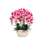 Kunstblumen Künstliches Phalaenopsis-Blumenarrangement – ​​Seidenorchideen für Heimdekoration, Hochzeiten, Partys und Büro – lebensecht für jeden Anlass