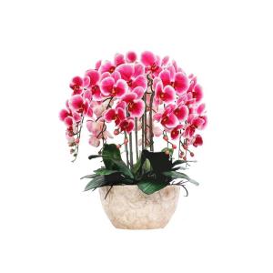 Kunstblumen Künstliches Phalaenopsis-Blumenarrangement – ​​Seidenorchideen für Heimdekoration, Hochzeiten, Partys und Büro – lebensecht für jeden Anlass