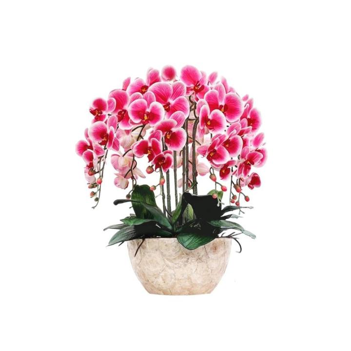 Kunstblumen Künstliches Phalaenopsis-Blumenarrangement – ​​Seidenorchideen für Heimdekoration, Hochzeiten, Partys und Büro – lebensecht für jeden Anlass