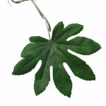 Ontwerp kunstmatige hangende planten