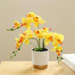 Künstliche Blume, Phalaenopsis-Bonsai-Dekoration, künstliche Orchidee, lebensechte künstliche Blume, Display in Weißgold-Topf (gelb)