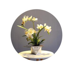 Kunstblumen Künstliche Blumen, 3 Zweige Orchideen im Topf, lebensechte künstliche Schmetterlingsblumen mit Keramikvase, Heimbüro-Dekoration für jeden Anlass