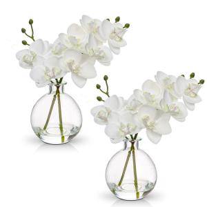 2 stuks kunstorchideeën wit met glazen vaas, kunstplant decoratie orchideeën kunstbloemen in vaas met Real Touch bloemen, namaak-orchideeën, kunstmatige bonsai voor hotel, woonk