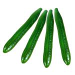 3 Sätze Simuliertes Gemüsemodell Künstliche Gurke Fotografie-Requisite Simulation Grüne Gurke Kunstgurken-Requisite Restaurant-gurken-Requisiten Schaum Green 4 Stück * 3