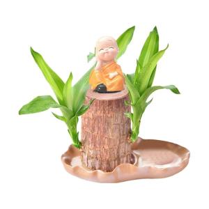 Braziliaanse planten indoor gelukshhouten plantset kleine mini-plant, desktopplanten, Braziliaanse houtplant met monniken, Braziliaans hout, plantenstronk, hout, hydrocultuurplant 