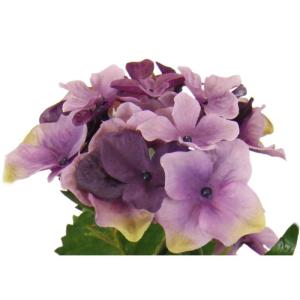Kunstmatige realistische bloem hortensia in pot hortensia struik plant balkonplant struik bloemen kunstplant decoratie terrasdecoratie balkonplant potplant bruiloft