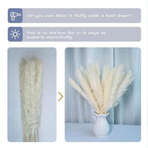 Gedroogde pampasdecoratie, gedroogde bloemen, natuurlijk, doe-het-zelf, droogbloemen, boeket, ideaal voor boho, woonkamer, bruiloft, slaapkamer en vazen (LZGSGO-0109)