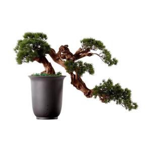 Künstlicher Bonsai-Baum Künstlicher Bonsai-Baum, neue Simulation im chinesischen Stil, Willkommenskiefer, Bonsai-Baum, Inneneinrichtung, Wohnzimmer-Dekoration, Simulation einer T