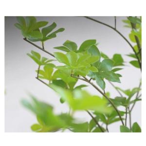 Künstliche Bäume, künstlicher Baum, Glockenbaum, grüne Zimmerpflanze, realistische Kunstpflanzen für die Dekoration von Zuhause und Büro, künstliche Pflanzen, künstliche Pf