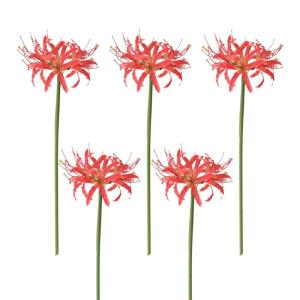 Kunstmatige spinnenlelies, 5 stelen, 66,9 cm, Lycoris Radiata-bloemen, levensechte Lycoris Recoil nep-spinnenplant, zijden boeket decoratie voor thuis (B)