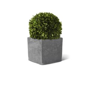 K&K Interiors 15004A-3 Runde konservierte Buchsbaumkugel in dunklem quadratischem Topf, 33 cm, Grün und Grau