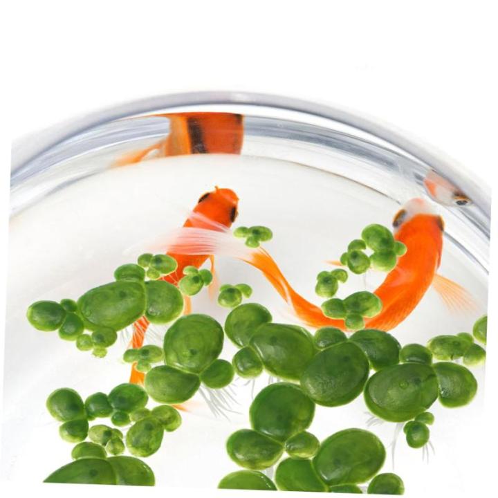 1 Satz Wasserlinsen-Kunststoff Wasserlinsen-Ornament Aquarienanlage Blätter Entengrütze Tank Schwimmende Entengrütze Teichlandschaft Miniatur Schwimmendes Aquarium Plastik 90st