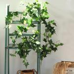 7 kunstmatige plantenhangers klimop lengte 210 cm klimop klimop klimop lichten geschikt voor binnen en buiten, bruiloftsdecoratie