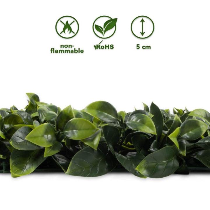 Plantenwand, , wandplanten, 50 x 50 cm, decoratie voor muur/balkon/tuin, Gardenia