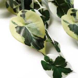 Ontwerp kunstmatige hangende planten