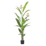 Strelitzie MN-KP-2214 Paradijsvogelbloem, kunstplant, kunstplant, decoratie, in zwarte pot, zeer realistisch, groen, 180 cm