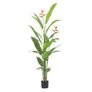 Strelitzie MN-KP-2214 Paradijsvogelbloem, kunstplant, kunstplant, decoratie, in zwarte pot, zeer realistisch, groen, 180 cm
