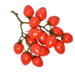 3st Simulierte Kleine Tomaten Kunstfruchtdekor Realistisch Obstverzierung Für Zu Hause Fotografie-Requisiten Lebensechte Gefälschte Kirschtomaten Heimdekoration Schaum