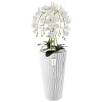 Künstliche Orchidee Kaskaden Blumenstrauß Weiß im Topf Weiß H 115 cm Heimbüro Dekoration, Kunstpflanze Orchidee, Kunstblume, Künstliche Orchidee im Topf