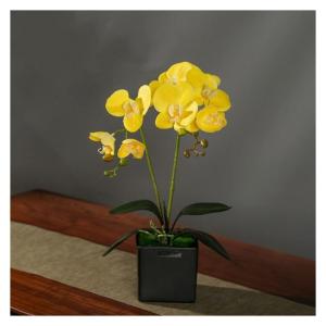 Kunstblumen Künstliches Phalaenopsis-Blumenarrangement, künstliche Orchideen-Bonsai im Topf, Pflanze für Zuhause, Büro, Küche, Schlafzimmer für jeden Anlass