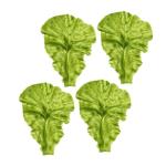 2 Sätze Salat-Requisite Simulation Salatblätter Gemüseblatt-Requisite Künstliche Salatblätter Simulation Von Salatblattmodellen Gemüsestütze Lebensmitteldekor Green PVC 4 St